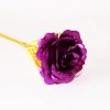 24K Gold Foil Rose Gift Set for Valentine’s Day Love 24K Gold Foil Rose Gift Set for Valentine’s Day Love