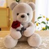 25cm Rose Teddy Bear Plush Toy Romantic Gift for Valentine's Day 25cm Rose Teddy Bear Plush Toy Romantic Gift for Valentine's Day