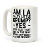 A Salty Little Grump Coffee Mug