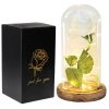 Acrylic Dome Eternal Rose Beauty Gift for Valentine Acrylic Dome Eternal Rose Beauty Gift for Valentine
