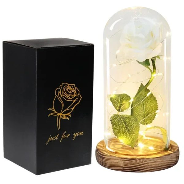 Acrylic Dome Eternal Rose Beauty Gift for Valentine Acrylic Dome Eternal Rose Beauty Gift for Valentine