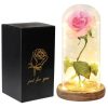 Acrylic Dome Eternal Rose Beauty Gift for Valentine Acrylic Dome Eternal Rose Beauty Gift for Valentine
