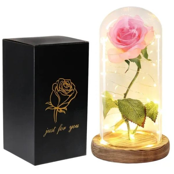 Acrylic Dome Eternal Rose Beauty Gift for Valentine Acrylic Dome Eternal Rose Beauty Gift for Valentine