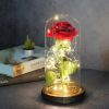 Acrylic Dome Eternal Rose Beauty Gift for Valentine Acrylic Dome Eternal Rose Beauty Gift for Valentine