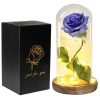 Acrylic Dome Eternal Rose Beauty Gift for Valentine Acrylic Dome Eternal Rose Beauty Gift for Valentine