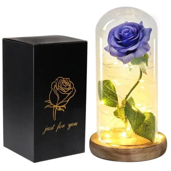 Acrylic Dome Eternal Rose Beauty Gift for Valentine Acrylic Dome Eternal Rose Beauty Gift for Valentine