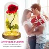 Acrylic Dome Eternal Rose Beauty Gift for Valentine Acrylic Dome Eternal Rose Beauty Gift for Valentine