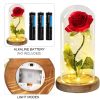Acrylic Dome Eternal Rose Beauty Gift for Valentine Acrylic Dome Eternal Rose Beauty Gift for Valentine