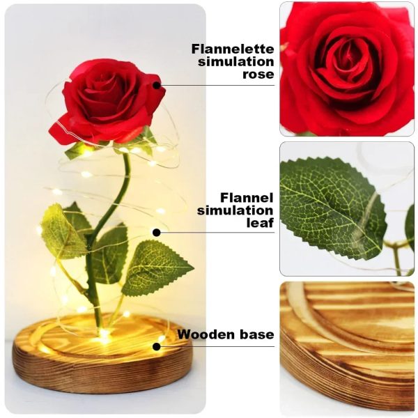 Acrylic Dome Eternal Rose Beauty Gift for Valentine Acrylic Dome Eternal Rose Beauty Gift for Valentine