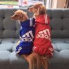 Adidog Hoodie Adidog Hoodie