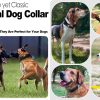 AirTag Dog Collar with Handle, Tactical Dog Collar for Large Medium Dogs AirTag Dog Collar with Handle, Tactical Dog Collar for Large Medium Dogs