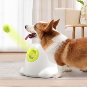 Automatic Dog Ball Launcher Automatic Dog Ball Launcher
