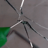 Automotive Glass Repair Fluid Automotive Glass Repair Fluid