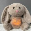 Baby Bear Soothes Otter Plush Toy - Musical Sleep Companion for Kids Baby Bear Soothes Otter Plush Toy - Musical Sleep Companion for Kids