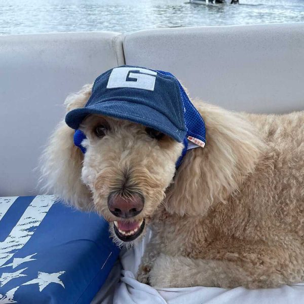 Baseball Cap for Dogs Baseball Cap for Dogs