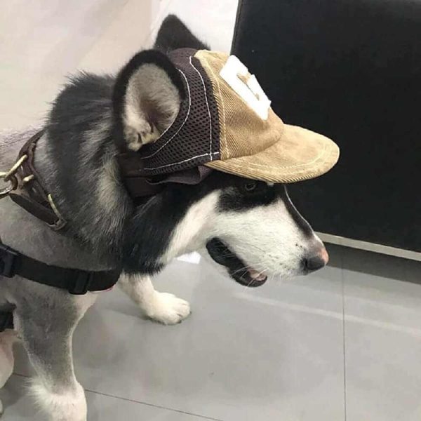 Baseball Cap for Dogs Baseball Cap for Dogs