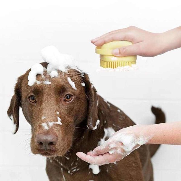 Bathroom Brush for Dog Bathroom Brush for Dog