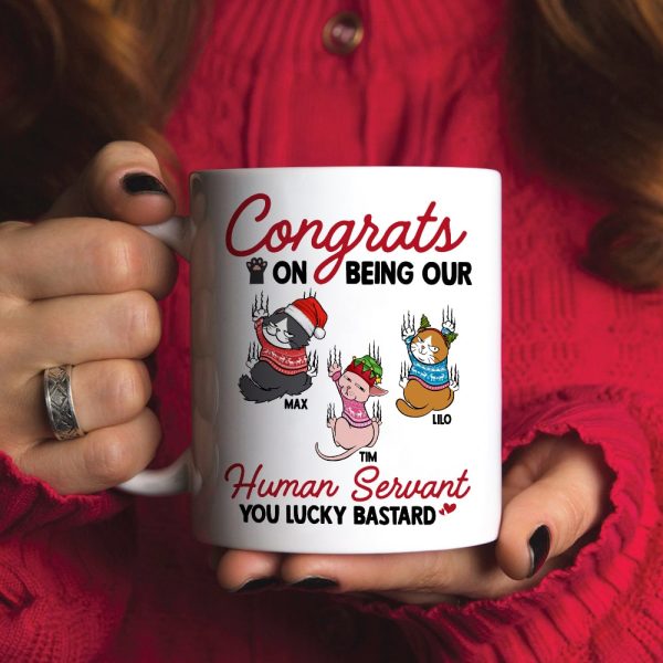 Cats, Our Human Servant, Personalized Mug, Christmas Gifts For Cat Lovers, EEA