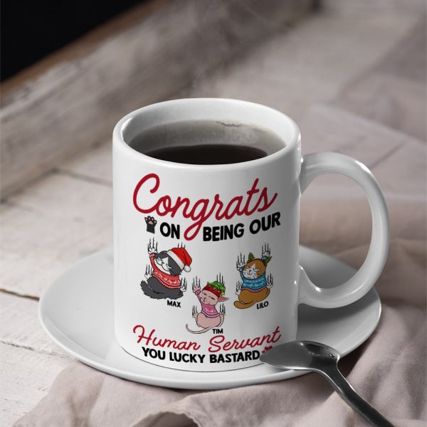 Cats, Our Human Servant, Personalized Mug, Christmas Gifts For Cat Lovers