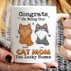 Congrats On Being My Cat Mom Dad Funny Cat Expression Personalized Mug Congrats On Being My Cat Mom Dad Funny Cat Expression Personalized Mug