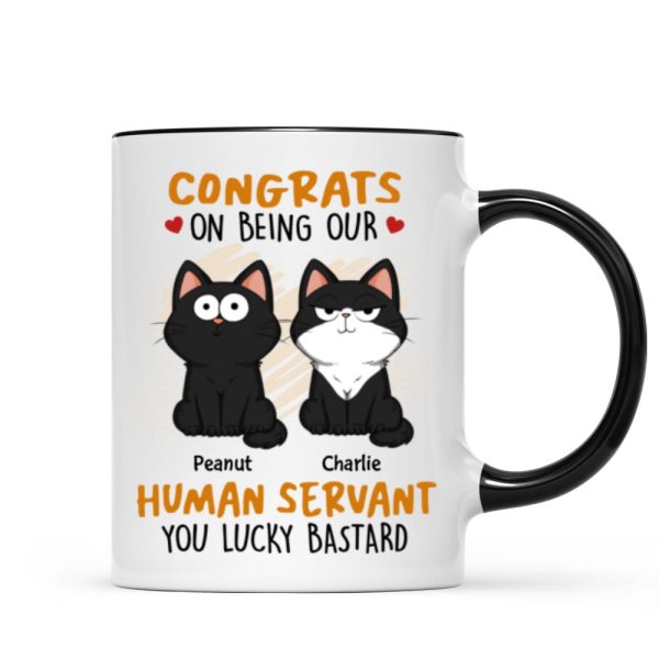 Congrats On Being My Human Servant Funny Cat Expression Personalized Mug