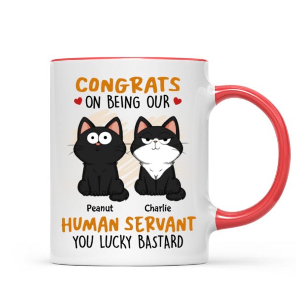 Congrats On Being My Human Servant Funny Cat Expression Personalized Mug