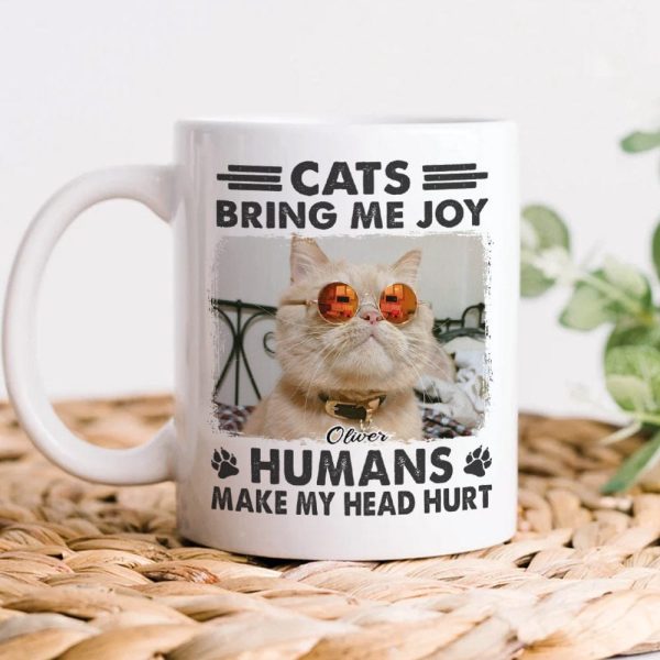 Custom Photo Cats Bring Me Joy Humans Make My Head Hurt Mug TA29 889589