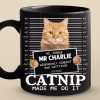Custom Photo Furry Roommate, Furever Friend - Cat Personalized Custom Black Mug - Gift For Pet Owners, Pet Lovers