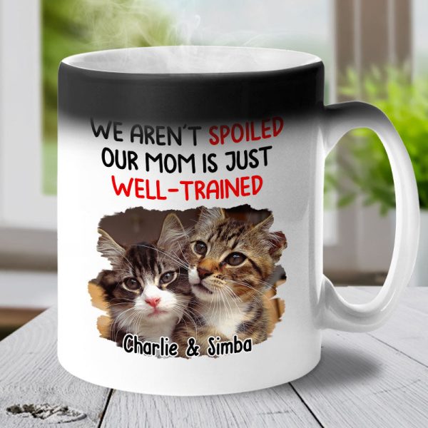 Custom Photo We Aren't Spoiled - Dog & Cat Personalized Custom Color Changing Mug - Gift For Pet Owners, Pet Lovers Custom Photo We Aren't Spoiled - Dog & Cat Personalized Custom Color Changing Mug - Gift For Pet Owners, Pet Lovers
