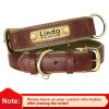 Customized Leather ID Nameplate Dog Collar