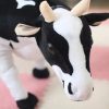 Cute 72cm Cow Plush Toy - Perfect Gift for Kids & Animal Lovers! Cute 72cm Cow Plush Toy - Perfect Gift for Kids & Animal Lovers!