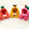 Cute AndCozy Costumes For Pet