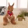 Cute Australian Kangaroo Cute Australian Kangaroo