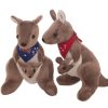 Cute Australian Kangaroo Cute Australian Kangaroo
