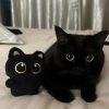 Cute Black Cat Plush Doll 10cm Small Pendant Soft Toy for Kids