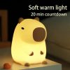 Cute Capybara Nightlight Cute Capybara Nightlight