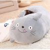 Cute Cartoon Plush Pillows: Adorable Fat Dog, Cat, Totoro & More!
