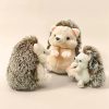 Cute Hedgehog Plush Sleeping Companion Cute Hedgehog Plush Sleeping Companion