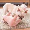 Cute Plush Pig Chew Toy for Dogs Cute Plush Pig Chew Toy for Dogs