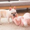 Cute Plush Pig Chew Toy for Dogs Cute Plush Pig Chew Toy for Dogs
