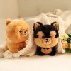 Cute Plush Puppy Dolls - Adorable Husky & Corgi Toys for Kids' Gifts