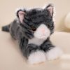 Cute Plush Simulation Cat Toys - Soft, Realistic, 5 Colors