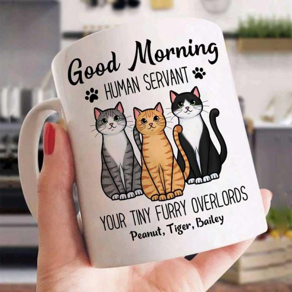 Cute Sitting Cats Good Morning Human Personalized Mug