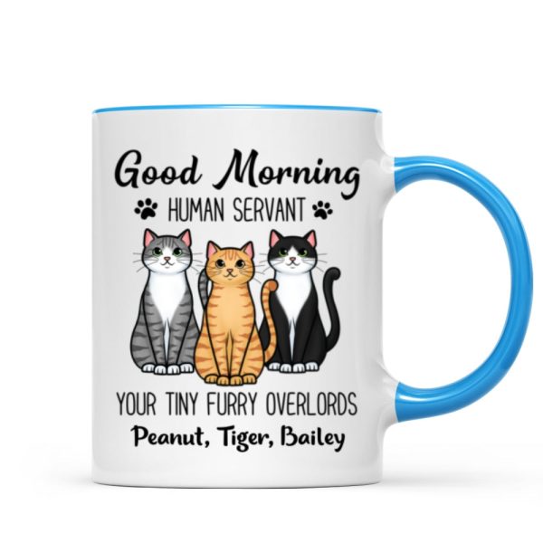 Cute Sitting Cats Good Morning Human Personalized Mug