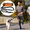 Deluxe Hands-Free Dog Leash Waist Attachment Deluxe Hands-Free Dog Leash Waist Attachment