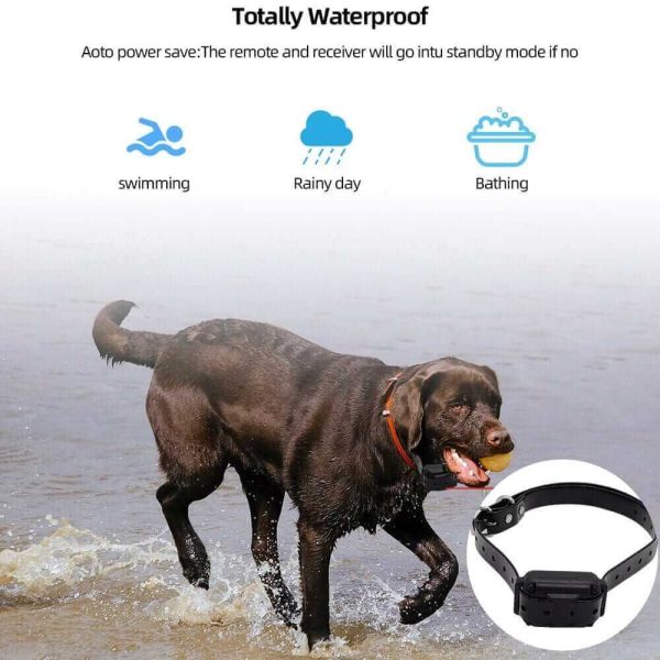 Digital Dog Training Collar Digital Dog Training Collar