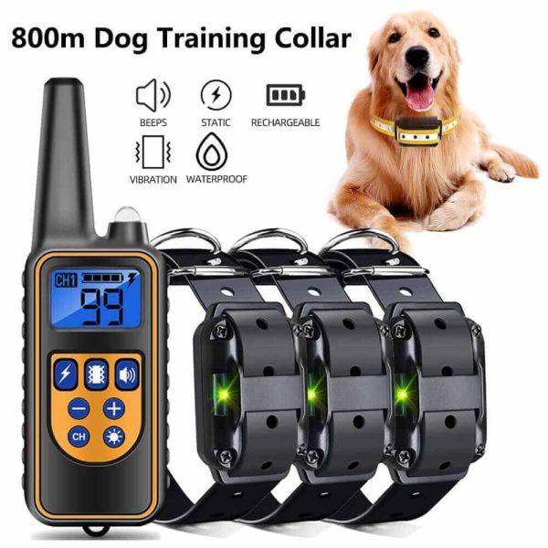 Digital Dog Training Collar Digital Dog Training Collar
