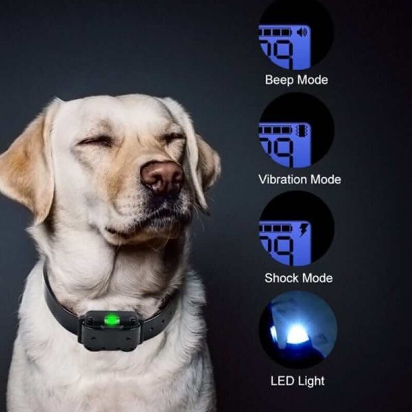 Digital Dog Training Collar Digital Dog Training Collar