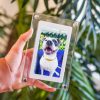 Digital Pet Memory Motion Frame