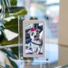 Digital Pet Memory Motion Frame
